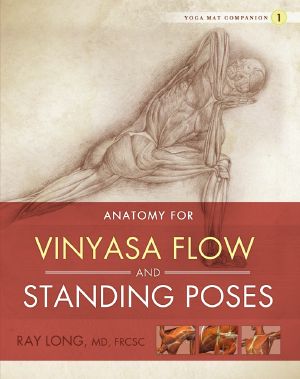 [Yoga Mat Companion Series 01] • Anatomy for Vinyasa Flow and Standing Poses